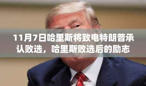 营销网络 第391页