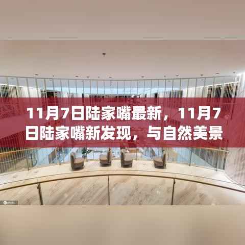 11月7日陆家嘴新发现，自然美景中的内心宁静之旅