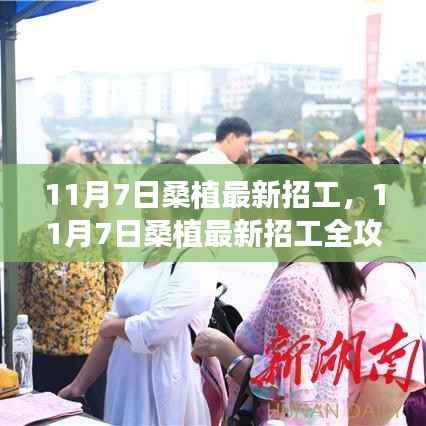 11月7日桑植最新招工全攻略,成功应聘的步骤与技巧