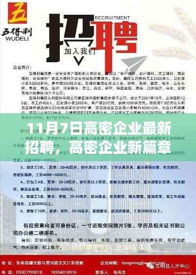高密企业最新招聘日,职场奇遇与友情绽放的11月7日