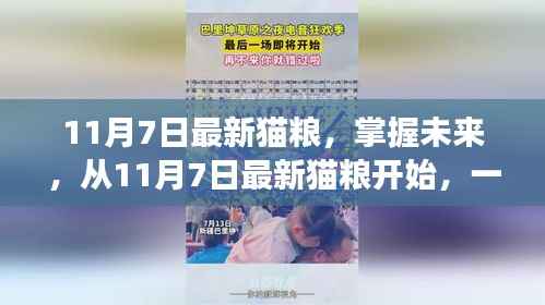 营销网络 第385页