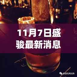 盛骏最新动态揭秘,小巷特色小店探秘之旅