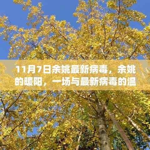 余姚暖阳下的病毒挑战,最新病毒与温馨日常冒险