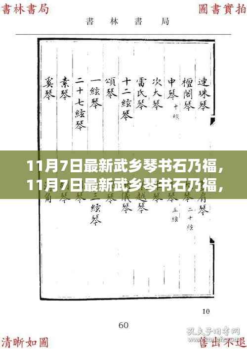 11月7日最新武乡琴书石乃福,全面评测与详细介绍