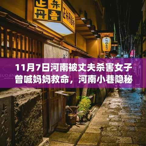 河南悲剧背后的探索,特色小店与被害女子的秘密小巷故事