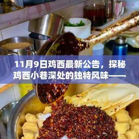 探秘鸡西小巷深处的隐藏版特色小店,最新公告与惊喜之旅