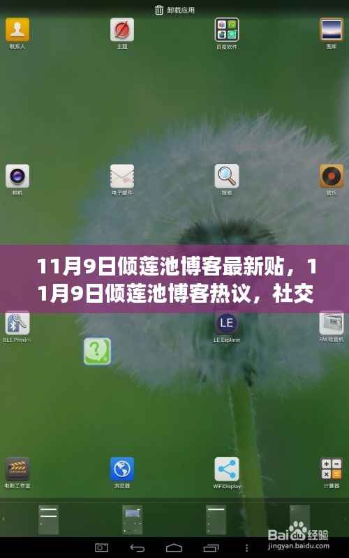 社交媒体时代的隐私边界之我见,倾莲池博客热议揭秘最新观点