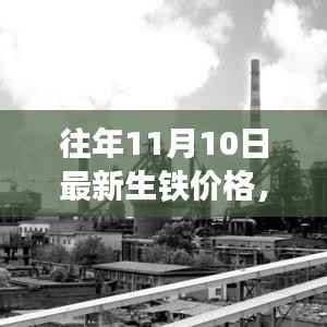 往年11月10日生铁价格指南,最新价格及查询方法
