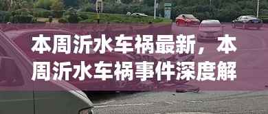 本周沂水车祸事件最新情况及深度解析
