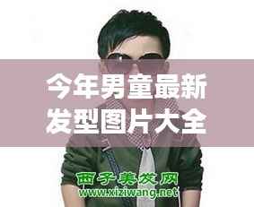 今年男童发型流行趋势,最新发型图片大全与潮流变迁盘点