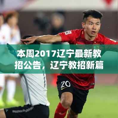 辽宁教招新篇章开启,点燃梦想,学习成就未来