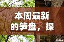 探秘本周最新笋盘,小巷中的独特风味小店揭秘