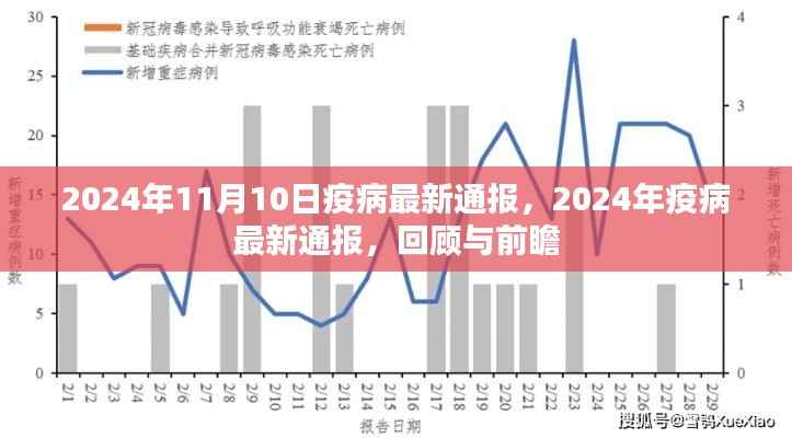2024年疫病最新通报,回顾与前瞻