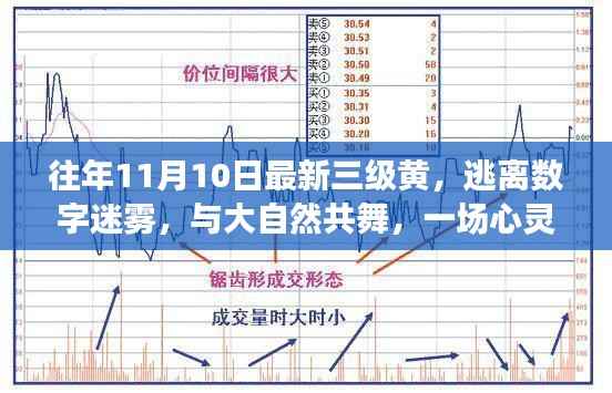 十一月十日美景之旅,逃离数字迷雾,心灵洗涤与大自然的共舞