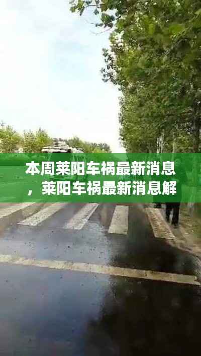 莱阳车祸最新消息解析,事故信息获取与事件进展理解指南(初学者与进阶用户必读)