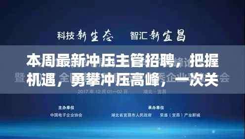 冲压高峰成长之旅,最新冲压主管招聘启事,自信与机遇的双重召唤