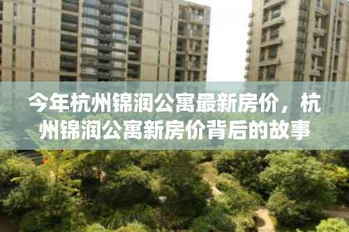 杭州锦润公寓最新房价揭秘,自信与成就感的成长之旅背后的故事与变化学习。