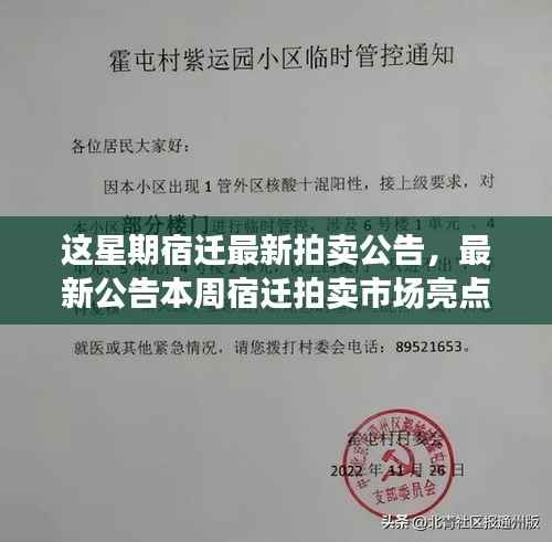 本周宿迁拍卖市场亮点解析,最新拍卖公告发布!