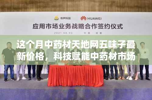 科技赋能下的中药材市场,中药材天地网五味子最新价格解析