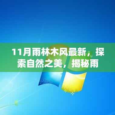 揭秘雨林木风最新奥秘,自然之美的探索(11月特别报道)