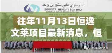 恒逸文莱项目最新进展及深远影响揭秘，十一月十三日更新消息速递