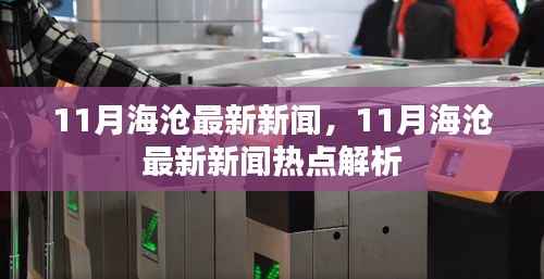 11月海沧最新新闻及热点解析