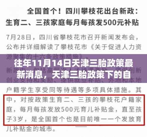 天津三胎政策下的秋日心灵之旅,探寻自然与宁静的秘径