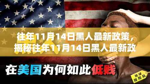 揭秘,往年11月14日黑人最新政策与巷弄深处的独特风情与隐藏小店介绍
