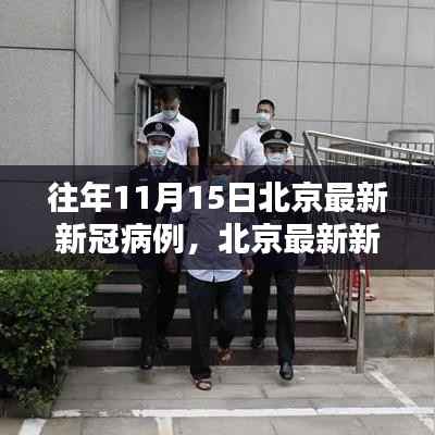 北京往年11月15日新冠病例数据解析与查询指南,共同守护你我他的健康防线