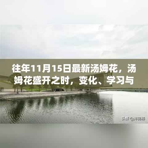 汤姆花盛开之际,变化、学习与自信的力量闪耀展现