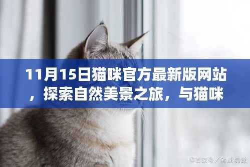 初遇在故事开头 第4页