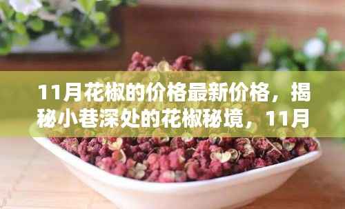 揭秘小巷深处的花椒秘境,11月最新价格与特色小店魅力