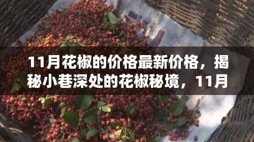 揭秘小巷深处的花椒秘境,11月最新价格与特色小店魅力