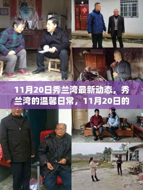 秀兰湾11月20日最新动态,阳光下的温馨日常