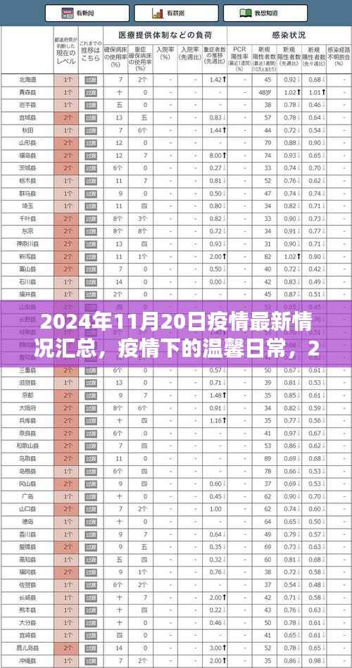 疫情下的阳光时刻,2024年11月20日疫情最新情况及温馨日常