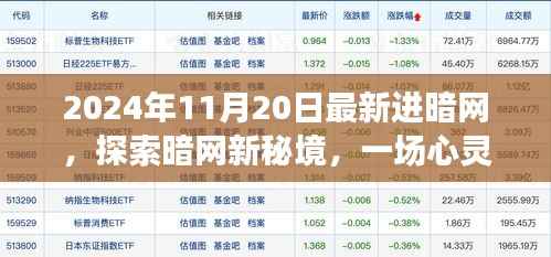 2024年11月20日最新进暗网,探索暗网新秘境,一场心灵与自然美景的奇妙之旅,启程于2024年11月20日