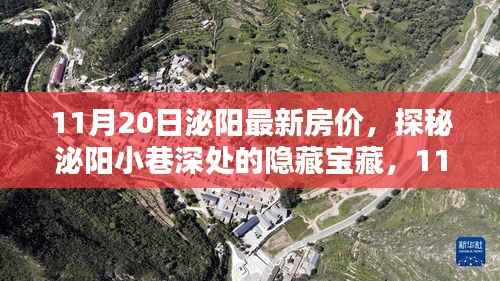 11月20日泌阳最新房价,探秘泌阳小巷深处的隐藏宝藏,11月最新房价与一家特色小店的独特风情