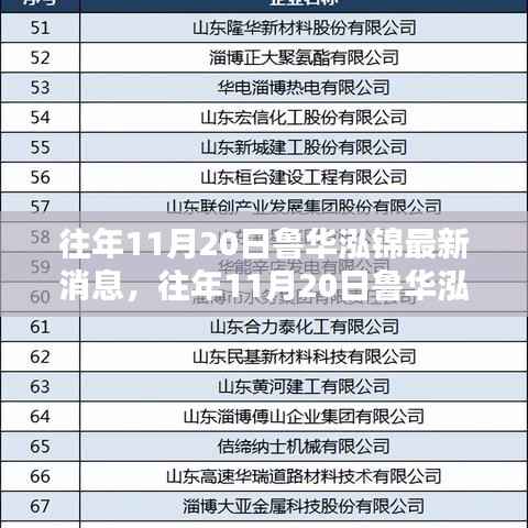 往年11月20日鲁华泓锦最新消息深度解析与评测报告