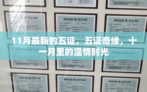 五证奇缘,十一月温情时光里的故事