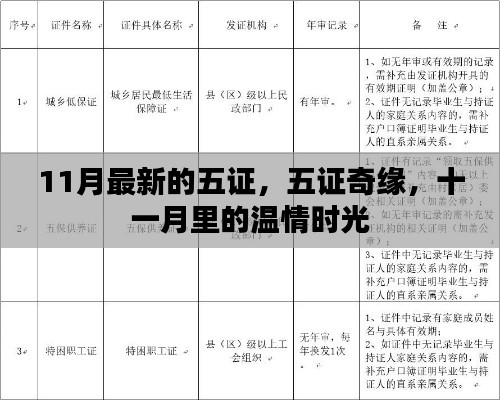 五证奇缘,十一月温情时光里的故事