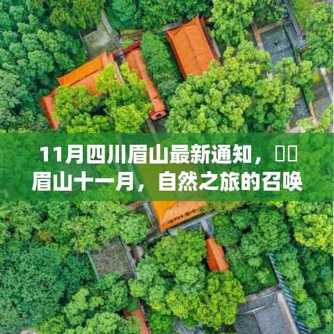 眉山十一月自然之旅,探索宁静之美的召唤,启程探索之旅