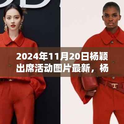 杨颖出席活动最新报道，闪耀瞬间，定格美好时光（2024年11月20日）