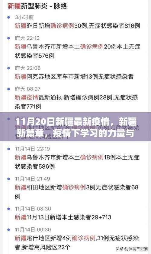 新疆疫情下的学习力量与自我超越奇迹，最新篇章揭秘（11月20日更新）
