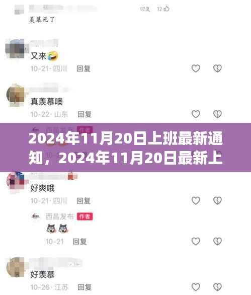 2024年11月20日最新上班通知,工作调整与准备事项详解