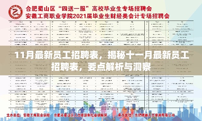 揭秘十一月最新员工招聘表，要点解析与洞察的招聘表概览
