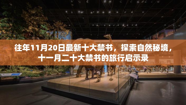 十一月二十大禁书探索自然秘境,旅行启示录