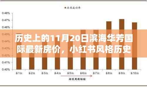 历史上的11月20日滨海华芳国际房价揭秘,小红书风格最新房价信息