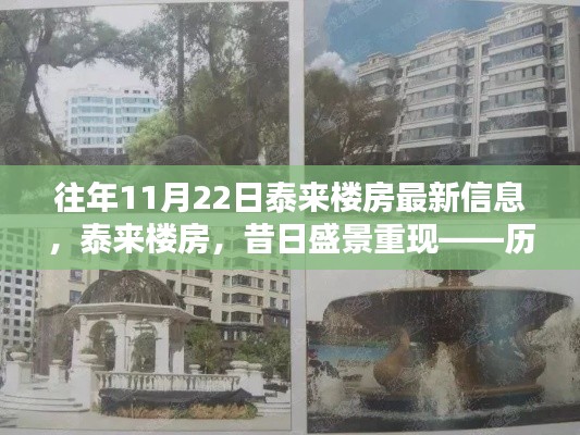 历年11月22日泰来楼房最新信息深度解析，昔日盛景重现的楼市动态