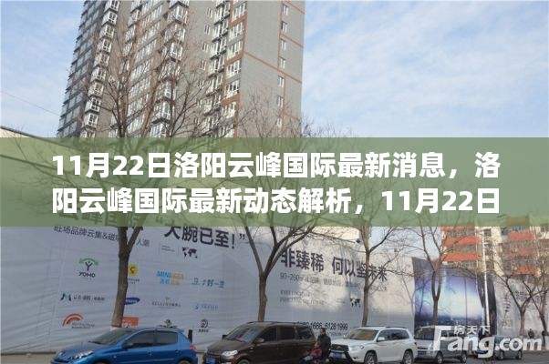 11月22日洛阳云峰国际最新动态解析与操作指南