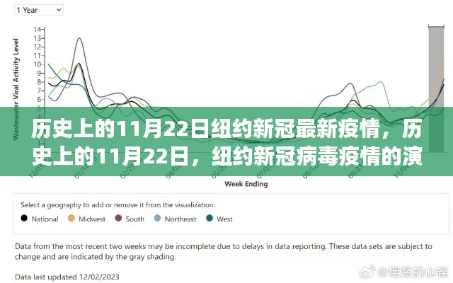 历史上的11月22日纽约新冠最新疫情,历史上的11月22日,纽约新冠病毒疫情的演变与现状